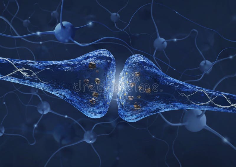 Synapse Process Over Neuron Connection Background - 3D Rendered Image Stock  Illustration - Illustration of volume, human: 86615891