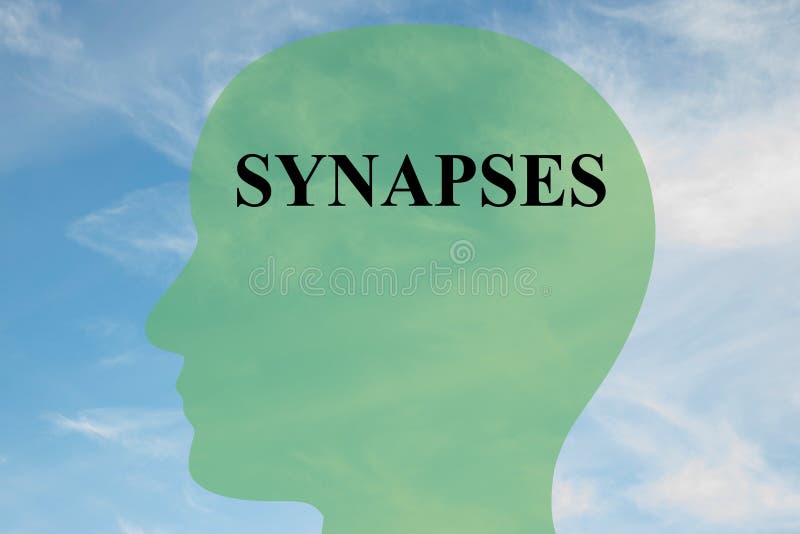 Synapsen - hersenenconcept vector illustratie Synapsen - hersenenconcept vector illustratie