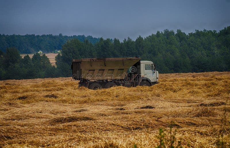 Syndykata żniwa lato zdjęcie stock