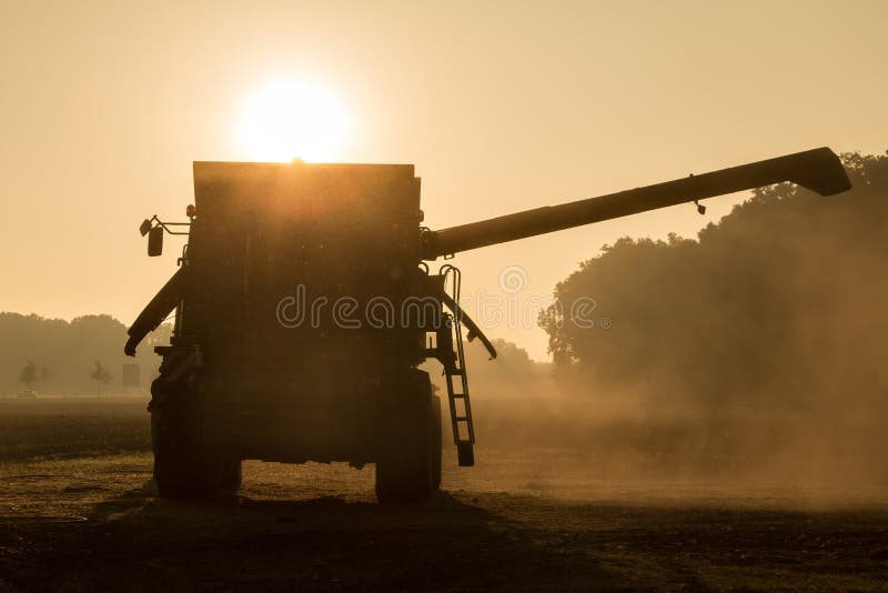 Syndykata żniwa ranek Backlit. Łączy, harvestin ranku backlight zrobi przygotowywający dla use