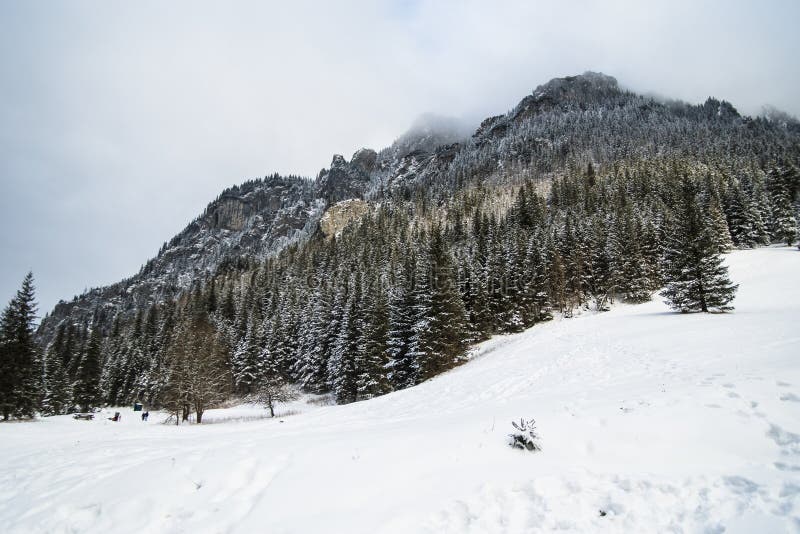 Synen från snöslätten genom Kocieliskadalen i Polen. arkivfoto