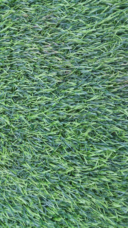 Synthetic Grass is Commonly Used in Indoor Courts Stock Photo Image