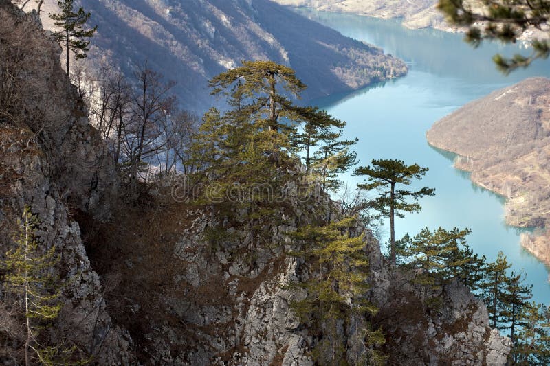 Synvinkeln Banjska vaggar på det Tara berget som ner ser till kanjonen av den Drina floden, västra Serbien royaltyfri foto Synvinkeln Banjska vaggar på det Tara berget som ner ser till kanjonen av den Drina floden, västra Serbien royaltyfri foto