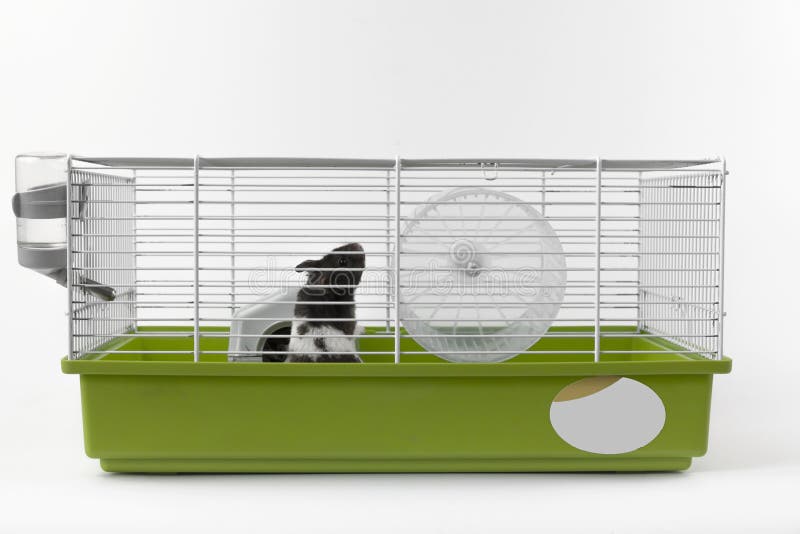 hamster cage white