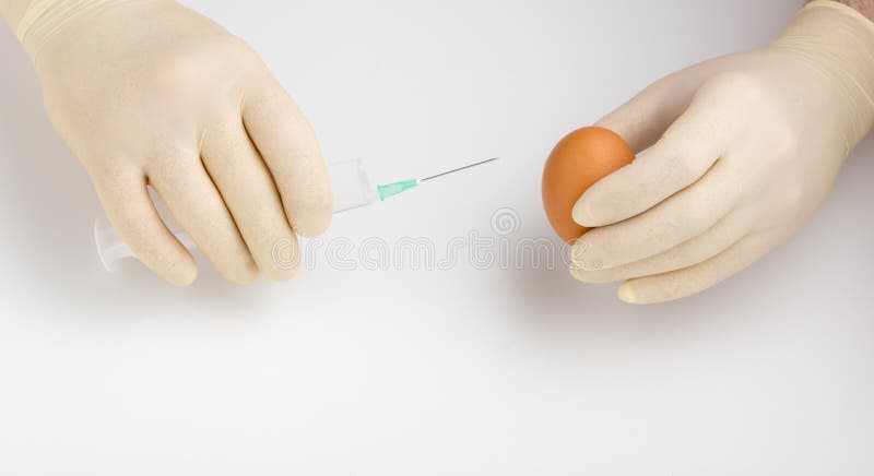 Syringe and egg royalty free stock photo Syringe and egg royalty free stock photo