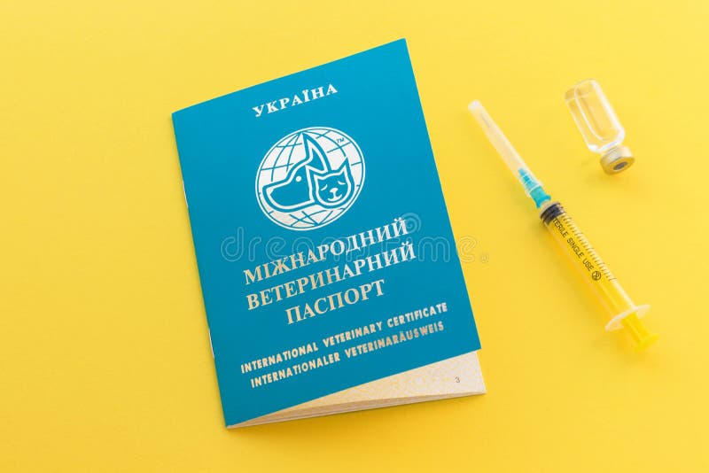 Syringe, Glass Vial with Liquid and Ukrainian Animal Passport for  Indicating Vaccinations and Microchip Number. Stock Image - Image of  medicine, antibiotic: 176072065