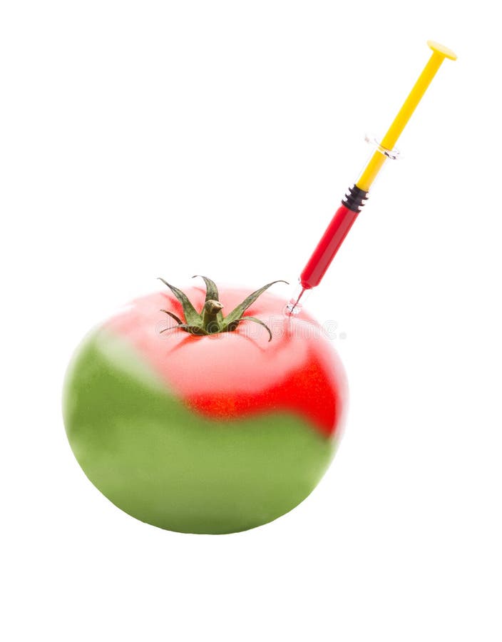 Syringe Injecting Red Liquid Into a Green Tomato