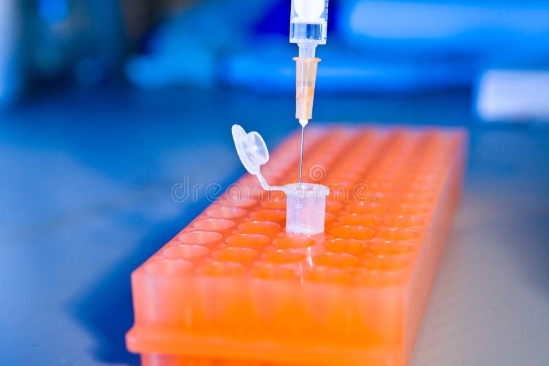 Syringe Pouring Liquid into Test Stock Photo Image of experiment, cure 22940394