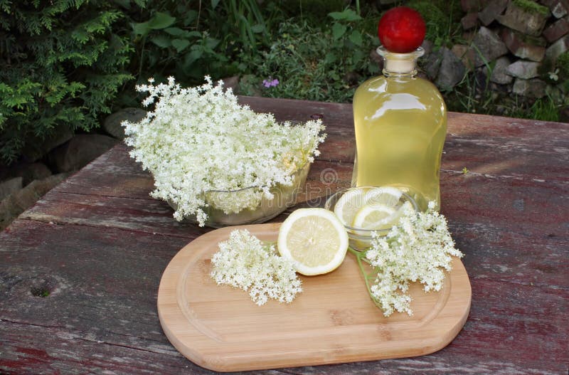 Syrup of Flowers Elderberry Stock Image Image of nature, drink 45490355