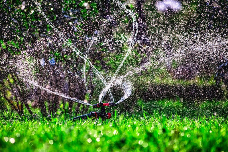 Système D'irrigation De Pelouse. Pulvérisation D'eau Sur La Pelouse Par  Temps Très Chaud. Photo stock - Image du irriguez, pluie: 226389004