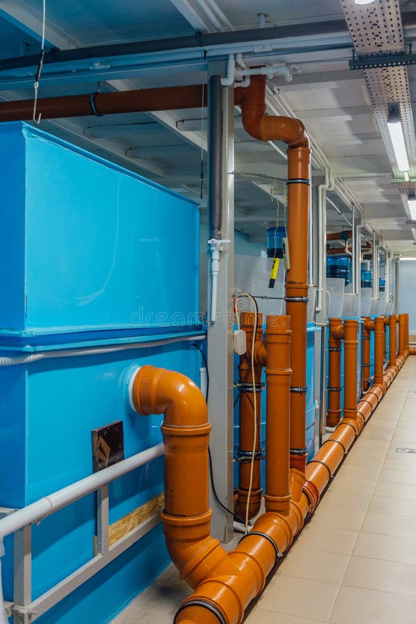 Water purification system in modern fish farm with closed water supply. Water purification system in modern fish farm with closed water supply.