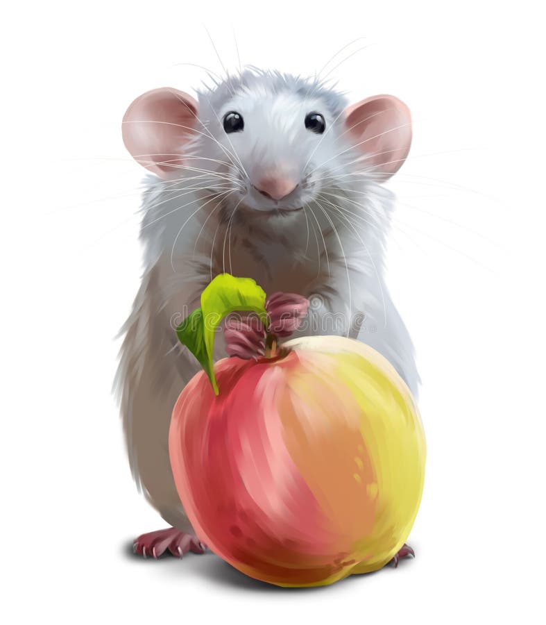 Szara mysz i wielki jabłko ilustracja wektor Szara mysz i wielki jabłko ilustracja wektor