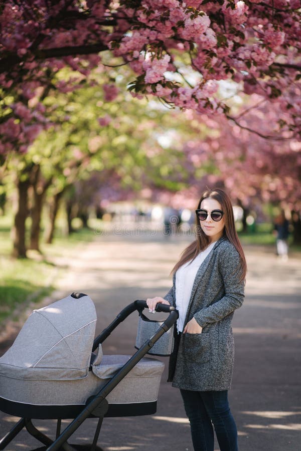 Szcz??liwy mama spacer z jej ma?? dziewczynk? w spacerowiczu T?o r??owy Sakura drzewo fotografia royalty free Szcz??liwy mama spacer z jej ma?? dziewczynk? w spacerowiczu T?o r??owy Sakura drzewo fotografia royalty free