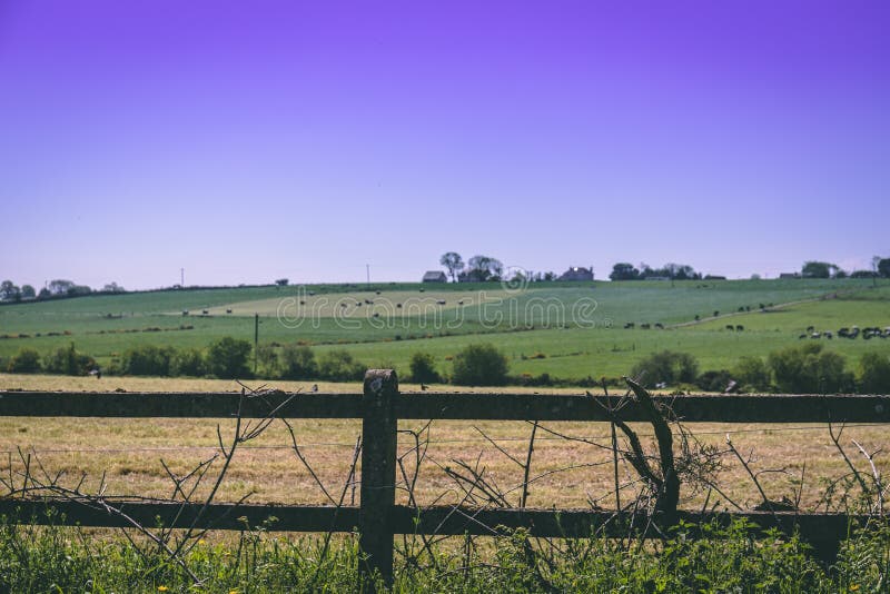 Szczegół ogrodzenie z elektryfikujący depeszujący na Irlandzkiej wsi fotografia stock Szczegół ogrodzenie z elektryfikujący depeszujący na Irlandzkiej wsi fotografia stock