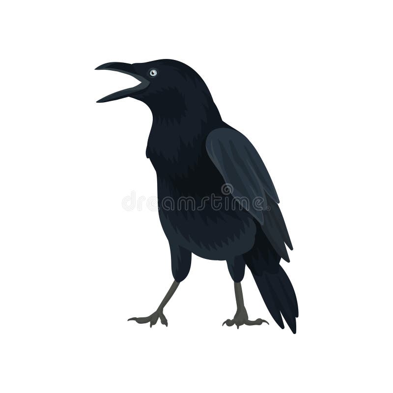 Szczegółowa wektorowa ikona kruk Wielki ptak z czerni piórkami i dużym belfrem Dziki opierzony zwierzę Fauna temat element