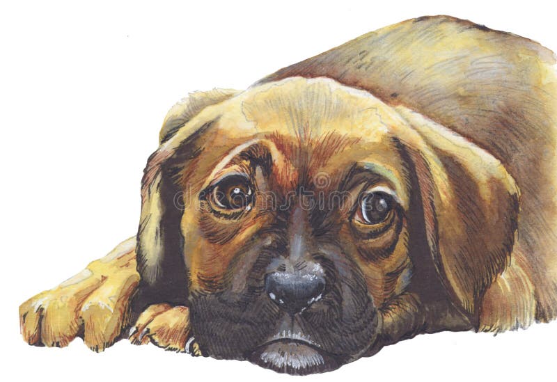 szczeniak smutny pies ilustracji szczeniak smutny pies ilustracji