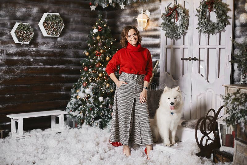 Szczęśliwa modelka w czerwonym przytulnym swetrze i spodnie z spodniami pozujące się słodkiego śnieżnego białego psa Samoyed w św zdjęcie royalty free Szczęśliwa modelka w czerwonym przytulnym swetrze i spodnie z spodniami pozujące się słodkiego śnieżnego białego psa Samoyed w św zdjęcie royalty free