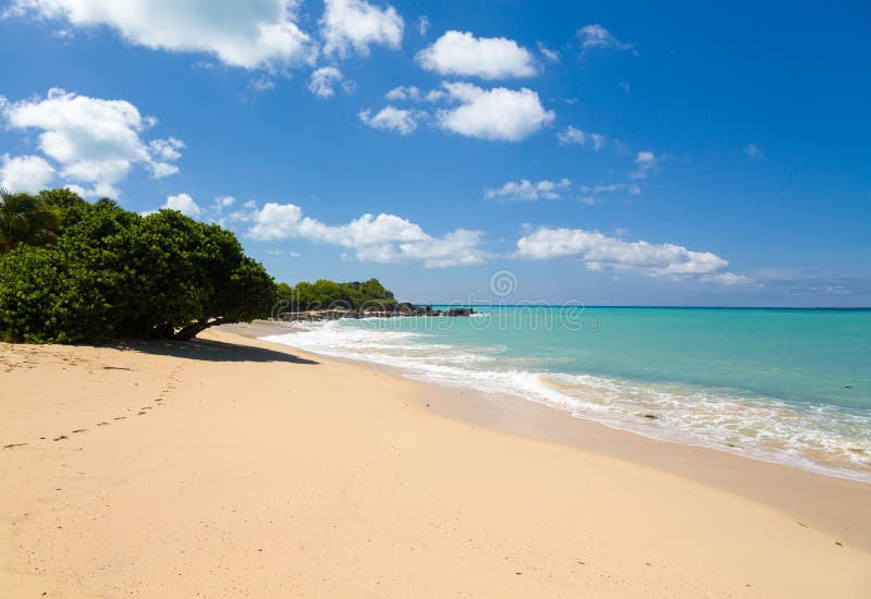 Happy Bay beach in St Martin Sint Maarten in Caribbean island. Happy Bay beach in St Martin Sint Maarten in Caribbean island