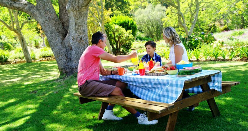 Szczęśliwy rodzinny oddziałać wzajemnie z each inny podczas gdy mieć posiłek w parku 4k