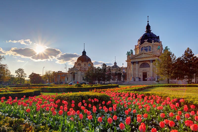 Szechenyi Spa with flower - Budapest, Hungary royalty free stock photography Szechenyi Spa with flower - Budapest, Hungary royalty free stock photography