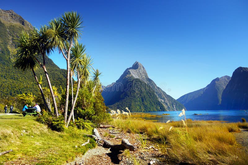 Szenische Fjord Landschaft Neuseelands, Milford Sound stockbilder Szenische Fjord Landschaft Neuseelands, Milford Sound stockbilder