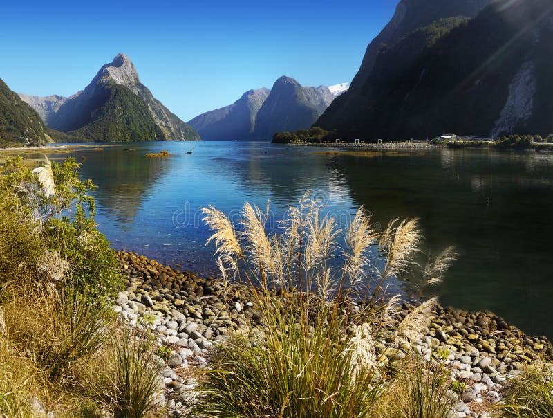 Szenische Fjord Landschaft Neuseelands, Milford Sound lizenzfreie stockfotos Szenische Fjord Landschaft Neuseelands, Milford Sound lizenzfreie stockfotos