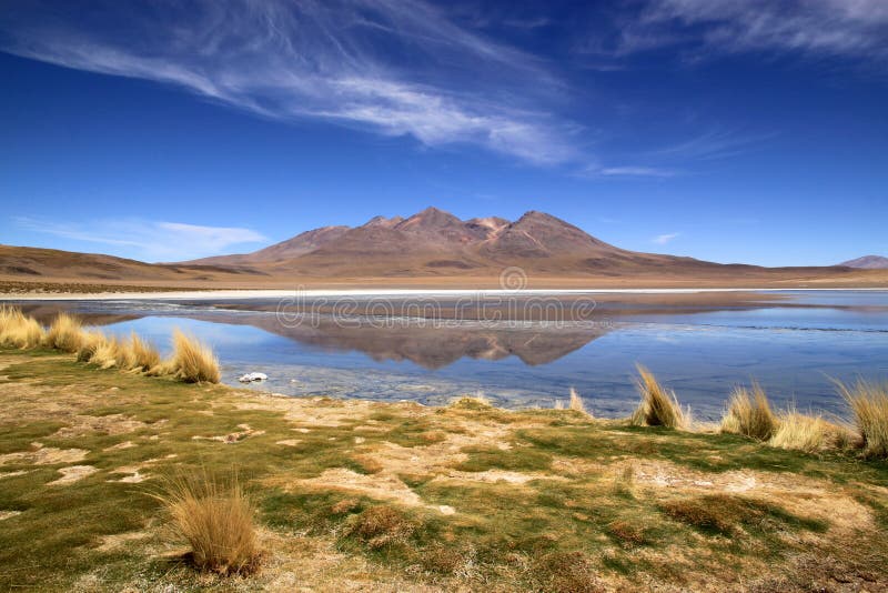 Szenische Lagune in Bolivien, Südamerika lizenzfreie stockfotografie Szenische Lagune in Bolivien, Südamerika lizenzfreie stockfotografie