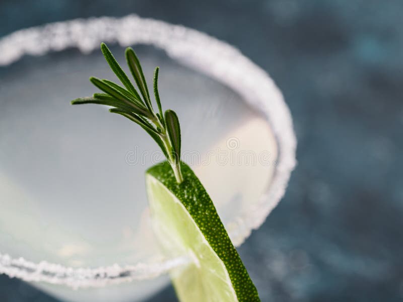 Szkło Martini koktajl z świeżymi rozmarynami zdjęcie stock Szkło Martini koktajl z świeżymi rozmarynami zdjęcie stock