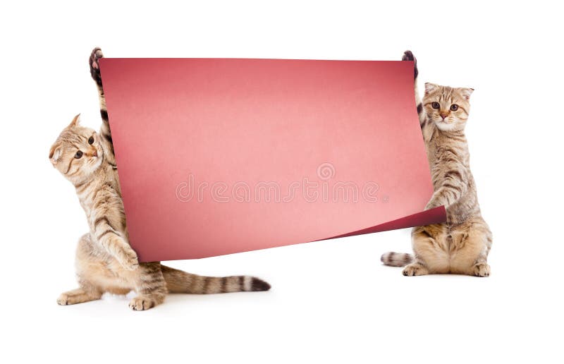 sztandaru figlarek plakat dwa zdjęcie stock sztandaru figlarek plakat dwa zdjęcie stock