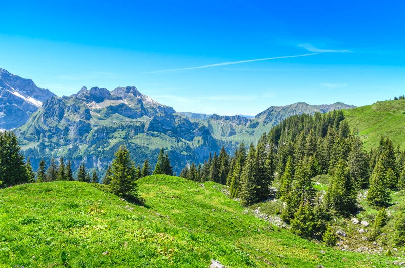 Szwajcarscy alps w lato sezonie Panorama malowniczy mou zdjęcia royalty free Szwajcarscy alps w lato sezonie Panorama malowniczy mou zdjęcia royalty free