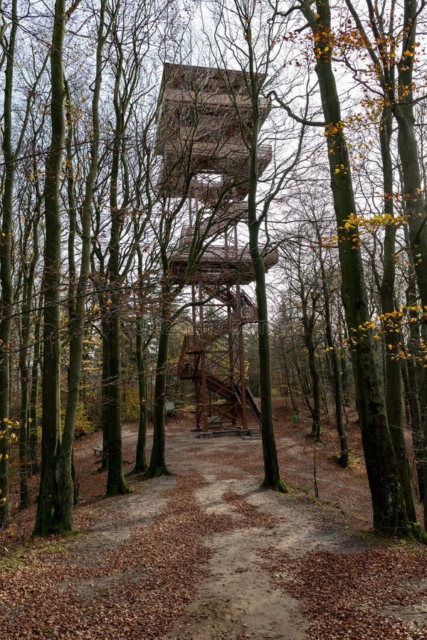 Szymbark, Pomorskie / Poland - October, 26, 2019: Observation tower in Kashubia in Central Europe. The highest hill in Pomerania