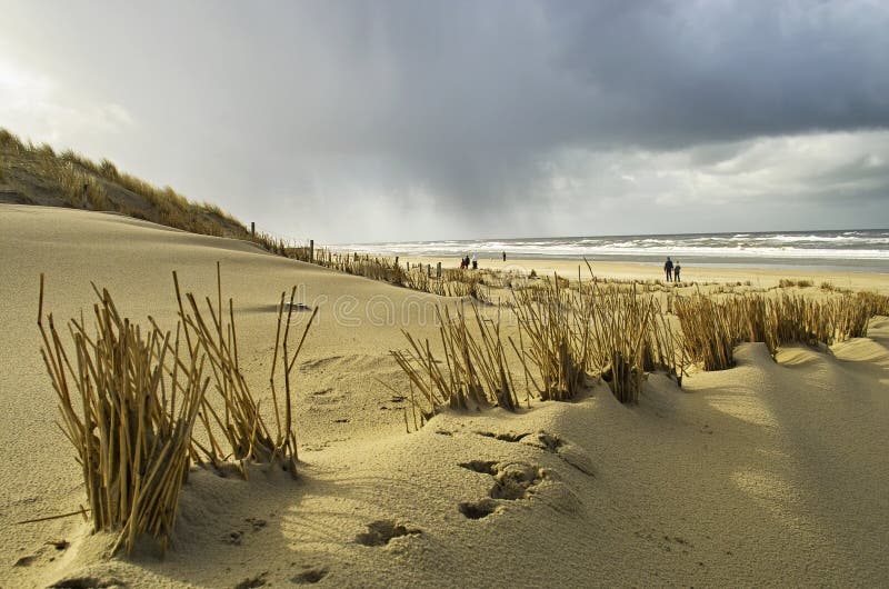 Promenera på stranden i Holland arkivfoton