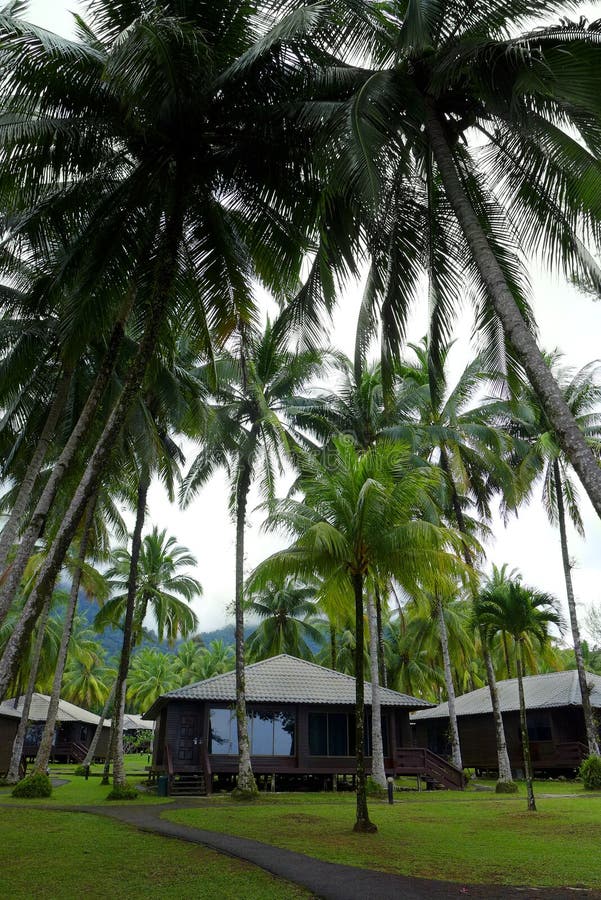 Sätta på land kojor i ferier tillgriper, Malaysia royaltyfria bilder Sätta på land kojor i ferier tillgriper, Malaysia royaltyfria bilder