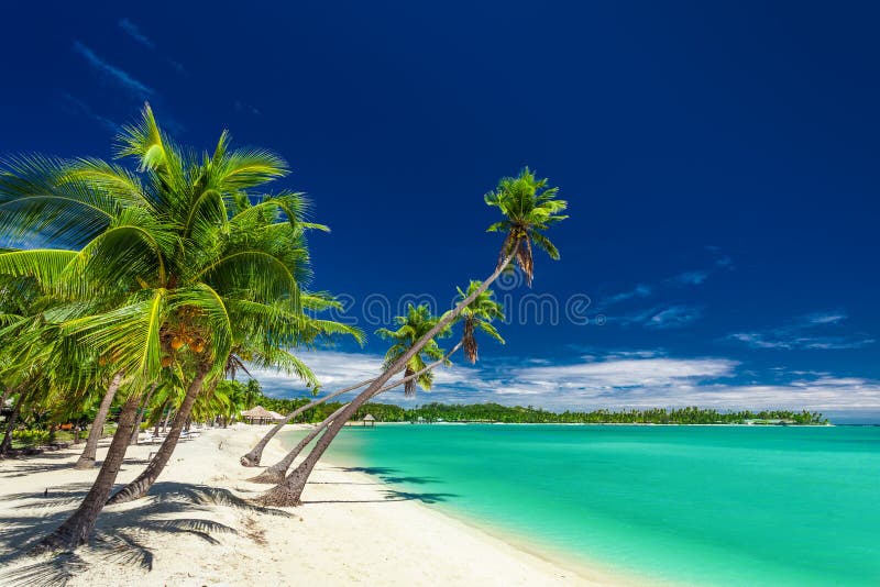 Sätta på land med palmträd över lagun på fijianska öar