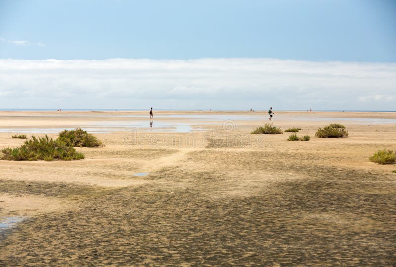 Sätta på land Playa de Sotavento, kanariefågelön Fuerteventura royaltyfria bilder Sätta på land Playa de Sotavento, kanariefågelön Fuerteventura royaltyfria bilder