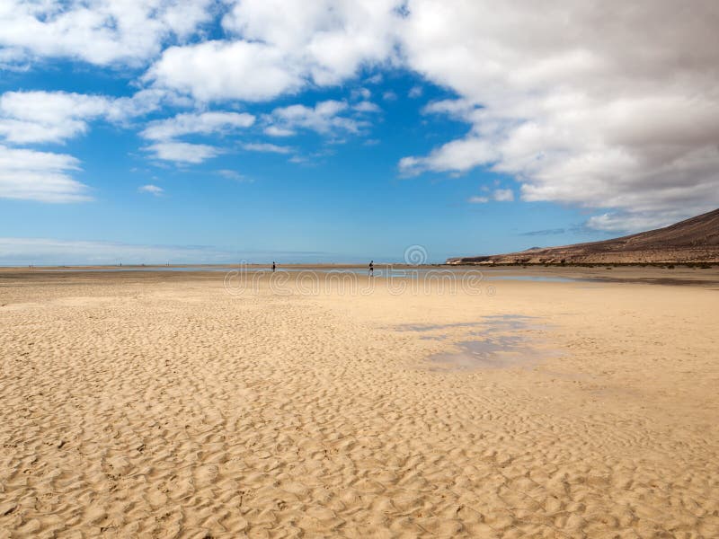 Sätta på land Playa de Sotavento, kanariefågelön Fuerteventura fotografering för bildbyråer Sätta på land Playa de Sotavento, kanariefågelön Fuerteventura fotografering för bildbyråer