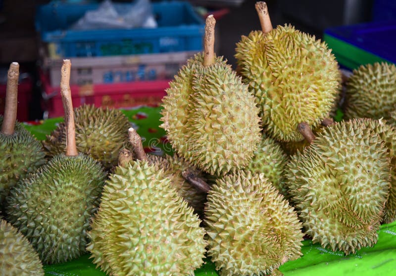 Såld Durian arkivfoto Såld Durian arkivfoto