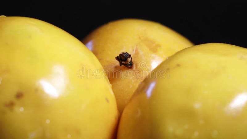 Séquence de closeup de fruit de la passion jaune tournant sur fond sombre banque de vidéos