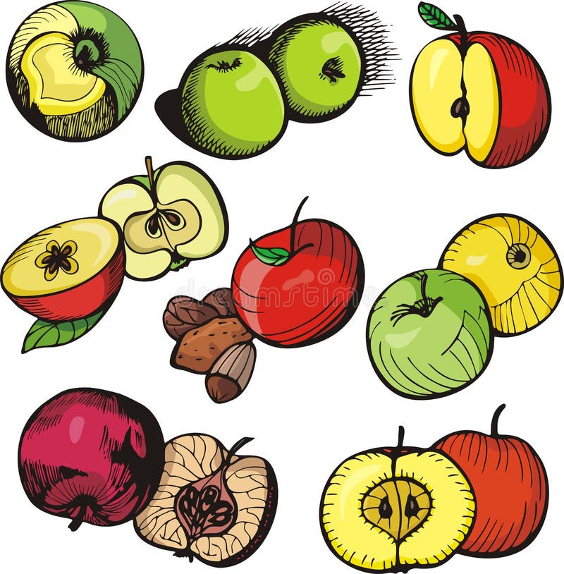 A set of 8 vector illustrations of apples. A set of 8 vector illustrations of apples.