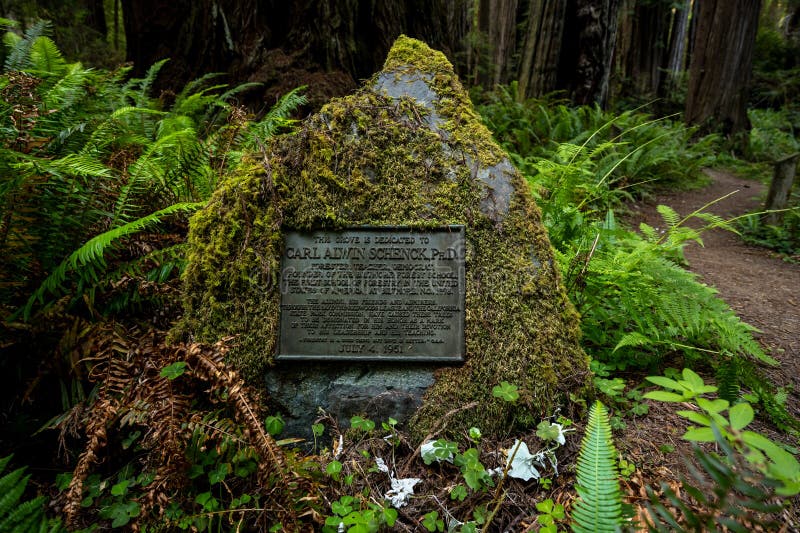 Redwood National Park, United States: July 3, 2023: Schenck Grove Memorial Sign In Redwood National Park Shows how the park protected land through private funding. Redwood National Park, United States: July 3, 2023: Schenck Grove Memorial Sign In Redwood National Park Shows how the park protected land through private funding