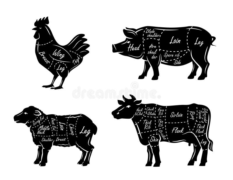Símbolos do guia dos carniceiros