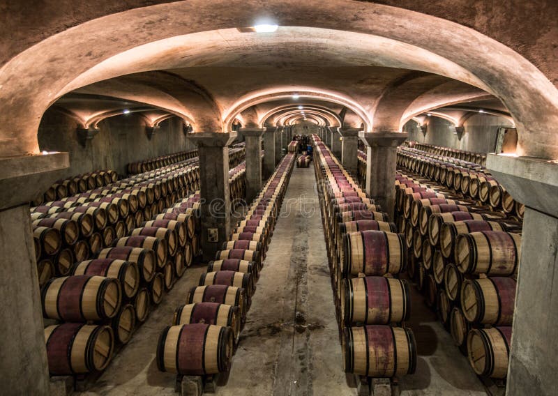 Sótano del lagar del margaux del castillo francés, Burdeos, Francia foto de archivo