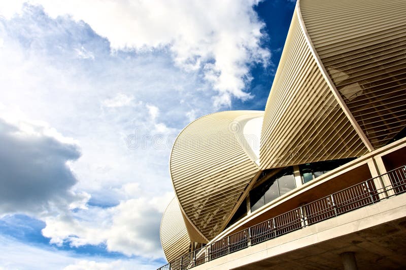 Södra stadion för africa elizabeth port arkivbild