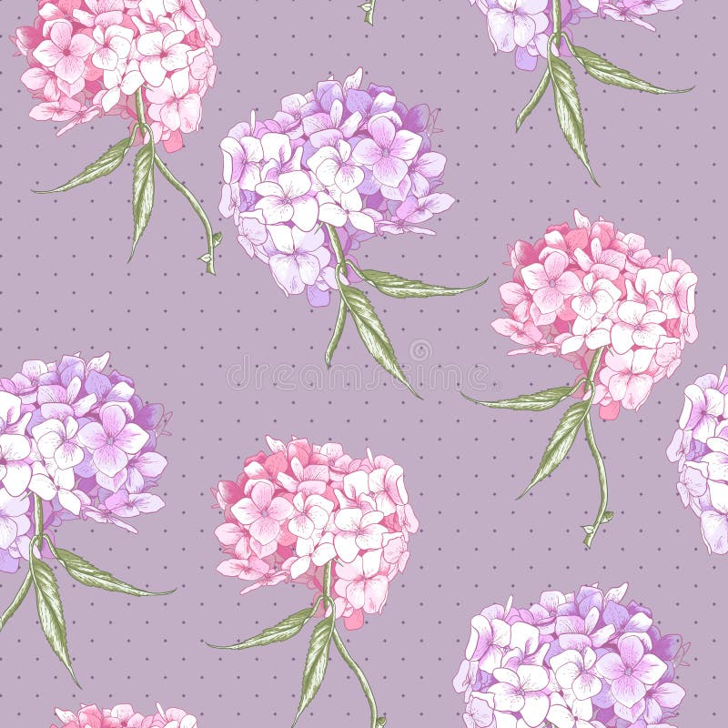Sömlös bakgrund för härlig rosa vanlig hortensia royaltyfri illustrationer