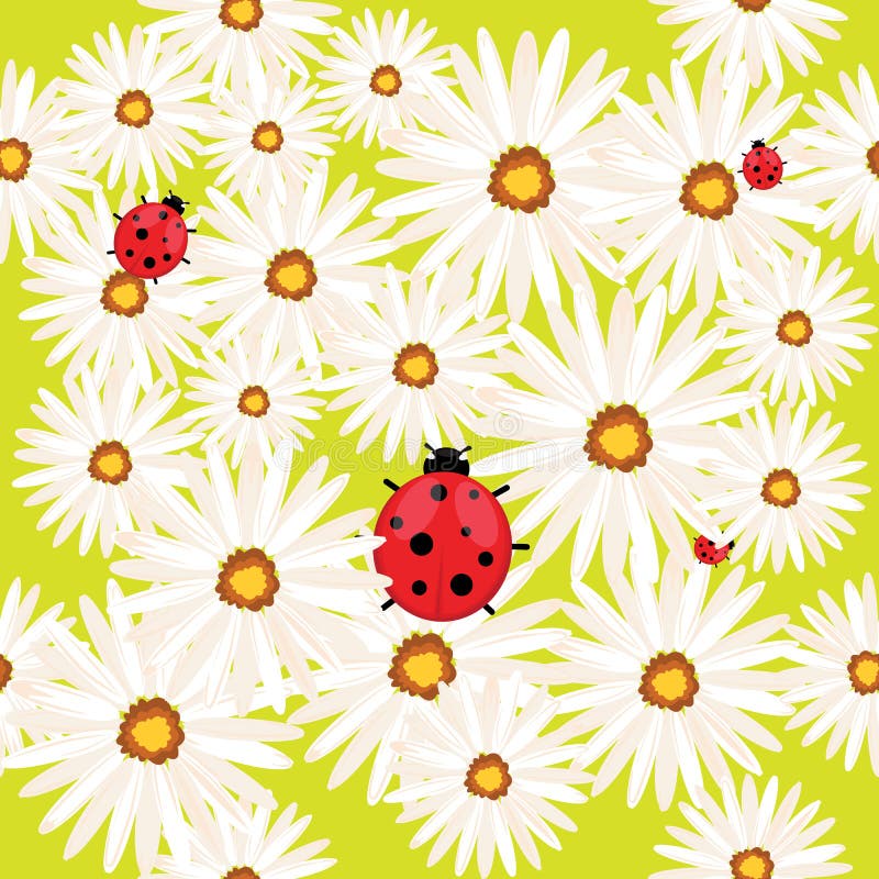 Sömlös bakgrund för vår med kamomillblommor vektor illustrationer Sömlös bakgrund för vår med kamomillblommor vektor illustrationer