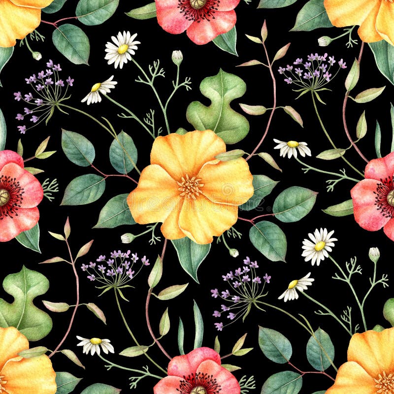 Sömlös blom- modell med vildblommor på mörk bakgrund Hand dragen vattenfärgillustration royaltyfri illustrationer Sömlös blom- modell med vildblommor på mörk bakgrund Hand dragen vattenfärgillustration royaltyfri illustrationer