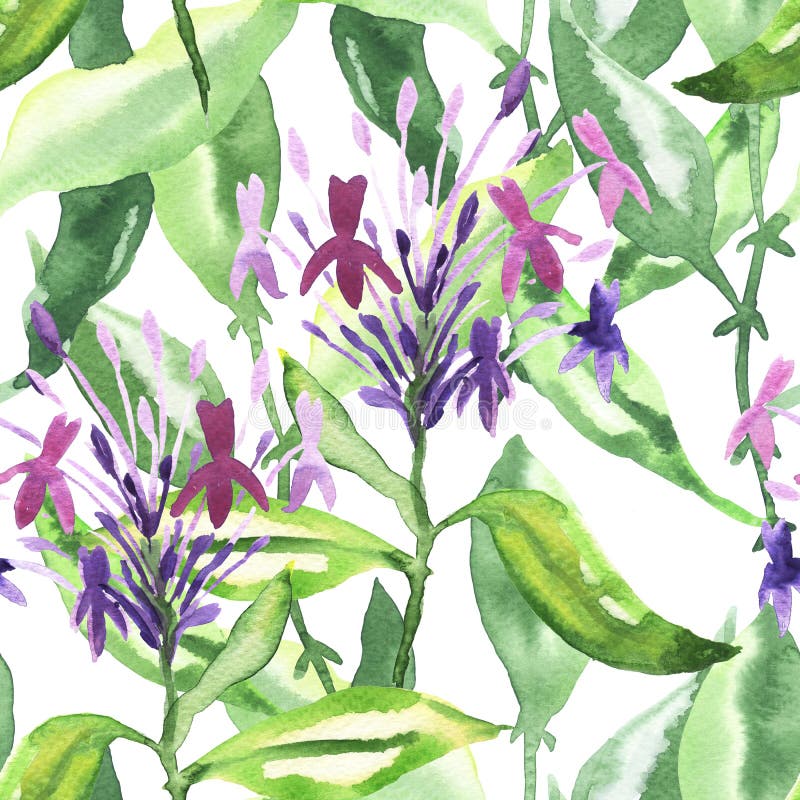 Sömlös blom- vattenfärgprydnad royaltyfri illustrationer Sömlös blom- vattenfärgprydnad royaltyfri illustrationer