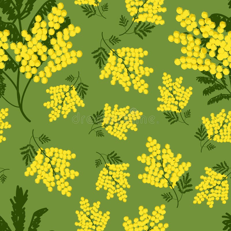 Sömlös fjäderflormimosa med blomning på grön vektor illustrationer