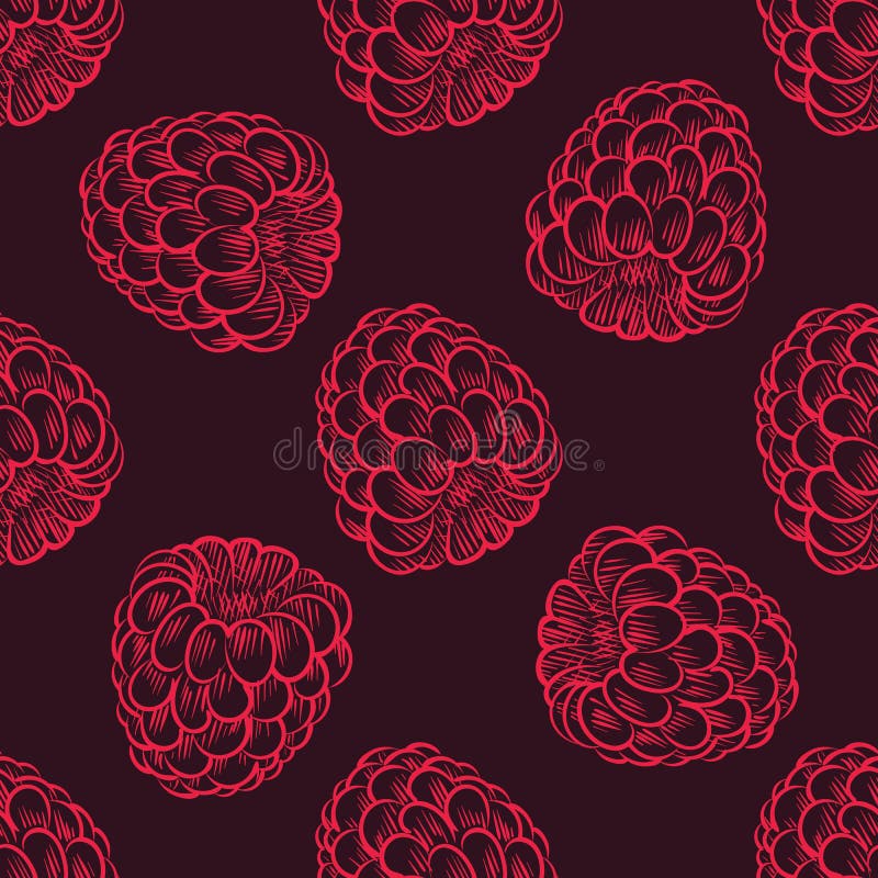 Sömlös modell av hallon, fruktmodell royaltyfri illustrationer Sömlös modell av hallon, fruktmodell royaltyfri illustrationer