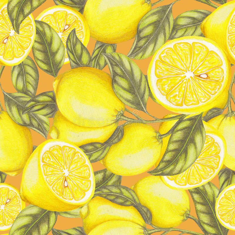 Sömlös modell av nya citroner vektor illustrationer Sömlös modell av nya citroner vektor illustrationer